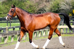 Budlington