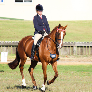 A woman riding a brown horse on a grassy field.