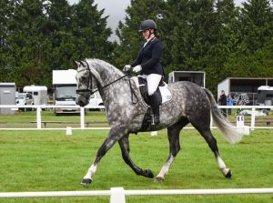 A woman riding a grey horse in an arena.