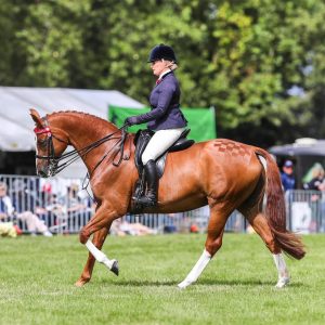 A woman riding a brown horse at a show.