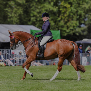 A person in equestrian attire rides a brown horse on a grassy field, with onlookers behind a fence in the background.