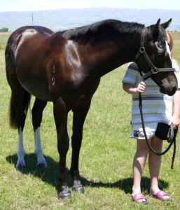 A young girl standing next to a horse.