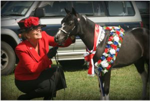 A woman petting a black and white horse.