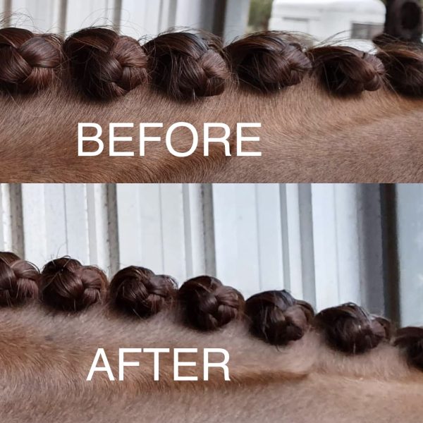 Two pictures of a horse's hair before and after braiding featuring NTR Whispaway.