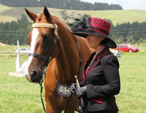 A woman standing next to a brown horse.