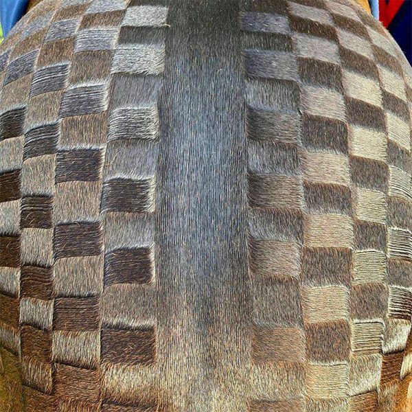 The back of a horse with a checkered pattern and the NTR Ultimate Marker Comb.
