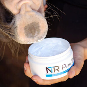 A close-up of an animal's snout near an open container of Pure Whip cream, which is being held by a person.