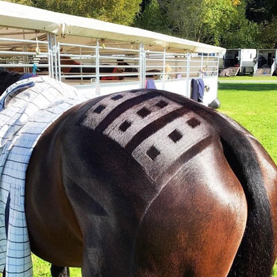 A horse with a groomed pattern on its hindquarters stands outside with blankets draped over its back.