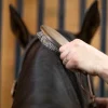 A hand brushes the mane of a dark-colored horse with an NTR Caress Mane & Tail Brush, focusing on grooming.