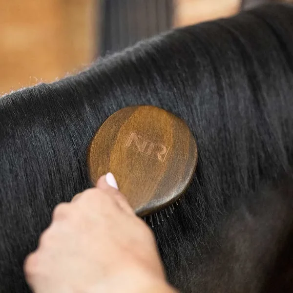 A hand using the NTR Caress Mane & Tail Brush to groom the shiny black coat of a horse.