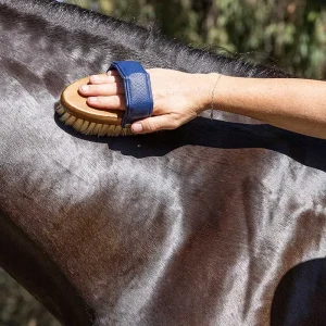 A hand holding an NTR Embrace Sisal Brush is grooming the coat of a horse, creating a shiny, smooth surface.