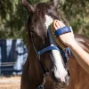 A person brushes a brown horse with a white stripe on its face using an NTR Embrace Sisal Brush. The horse wears a blue halter.