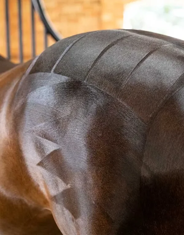 Close-up of a horse's back and hindquarters with cleanly clipped geometric patterns visible on its shiny, brown coat, showcasing the precision of the NTR Harmony Copper Brush.