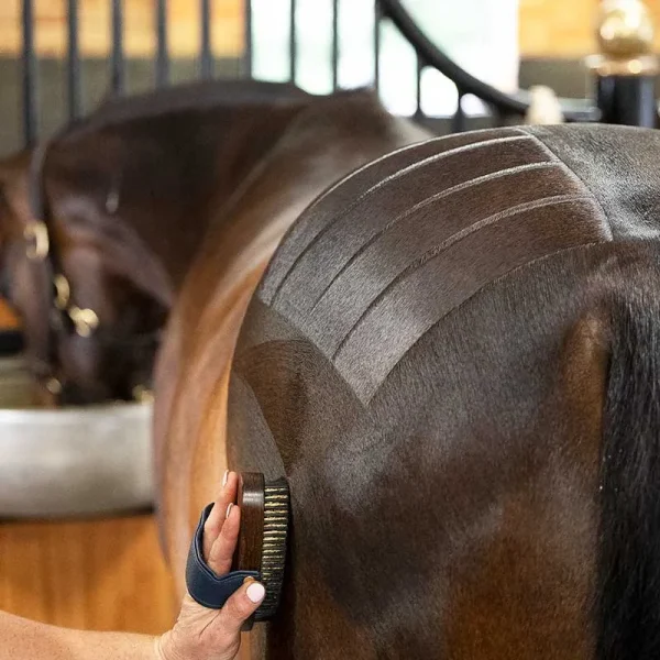 A person brushes a horse's coat in a stable using the NTR Harmony Copper Brush. The coat has visible brush marks, showing a pattern of short, even strokes.