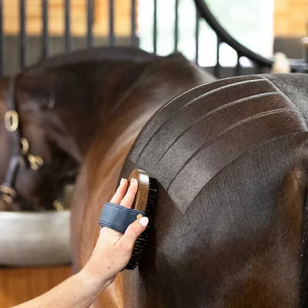 A person is grooming a horse with an NTR Harmony Copper Brush, creating neat, parallel lines on its dark coat. Another horse is in the background.